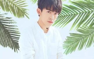 吃瓜直播间爆料娱乐圈易烊千玺,吃瓜直播间独家爆料揭秘